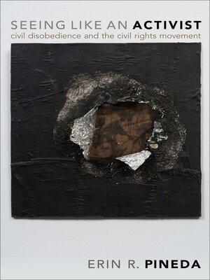 cover image of Seeing Like an Activist